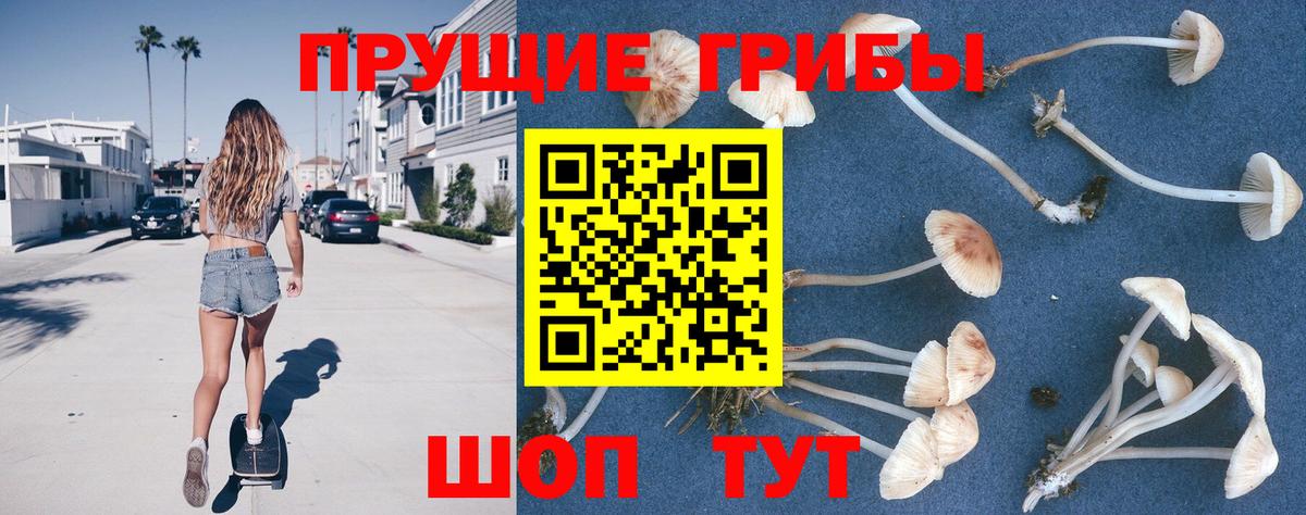 Ртищево  Галлюциногенные грибы GOLDEN TEACHER  Вход с VPN 