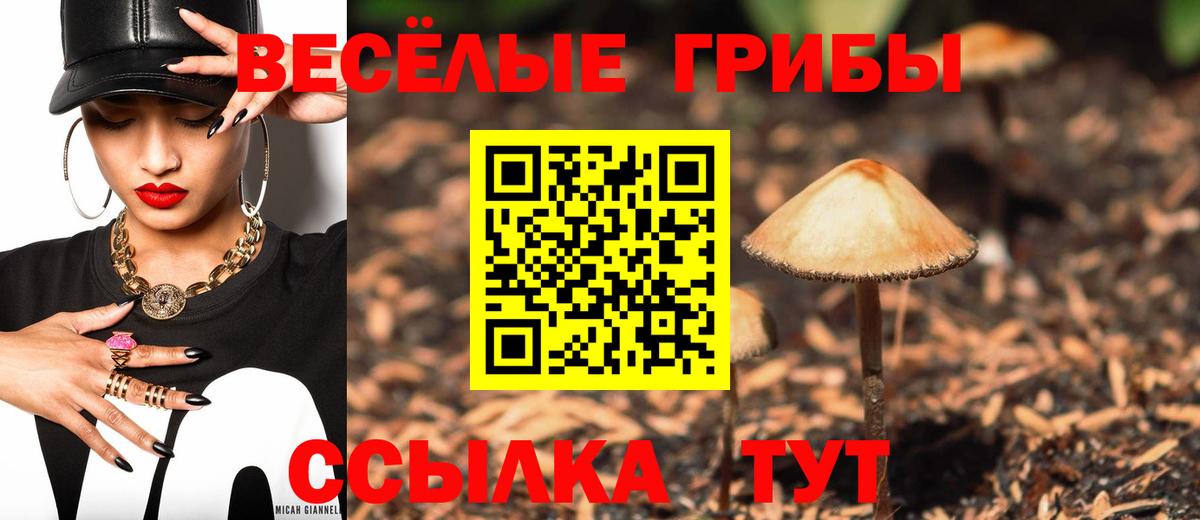 Галлюциногенные грибы мицелий Ртищево